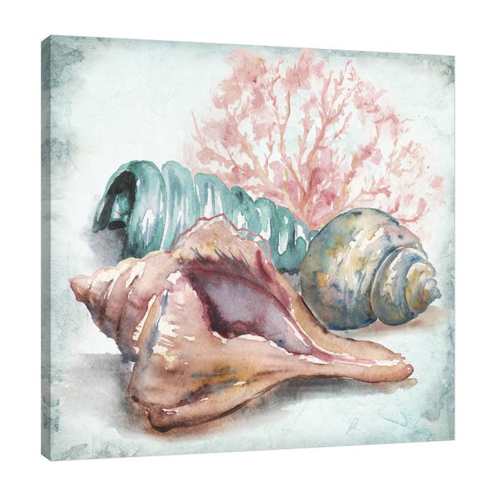 Aquarell Sea Shells III Eingewickelte Leinwand für den Großhandel von Jaxson Rea