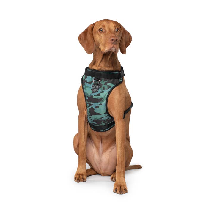 Everything Harness: arnés para perros que no tira para venta al por mayor de Canada Pooch