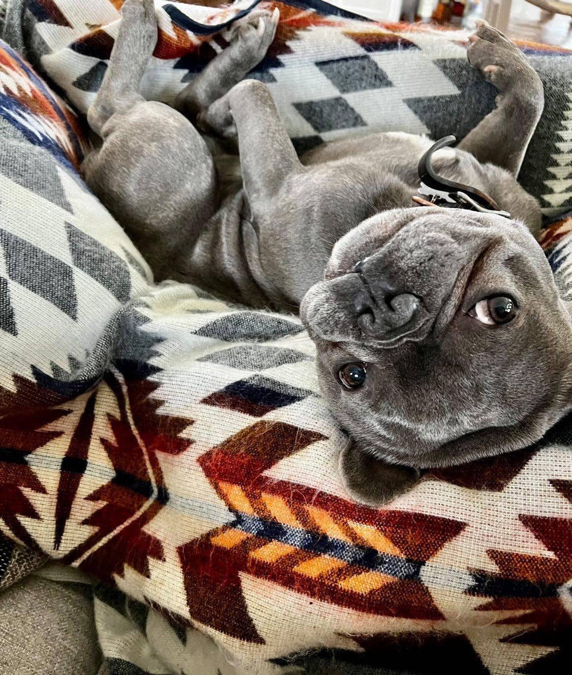 Wylde Brigade - Wholesale Throw Blanket - Mica Aztec Reversible Blanket5