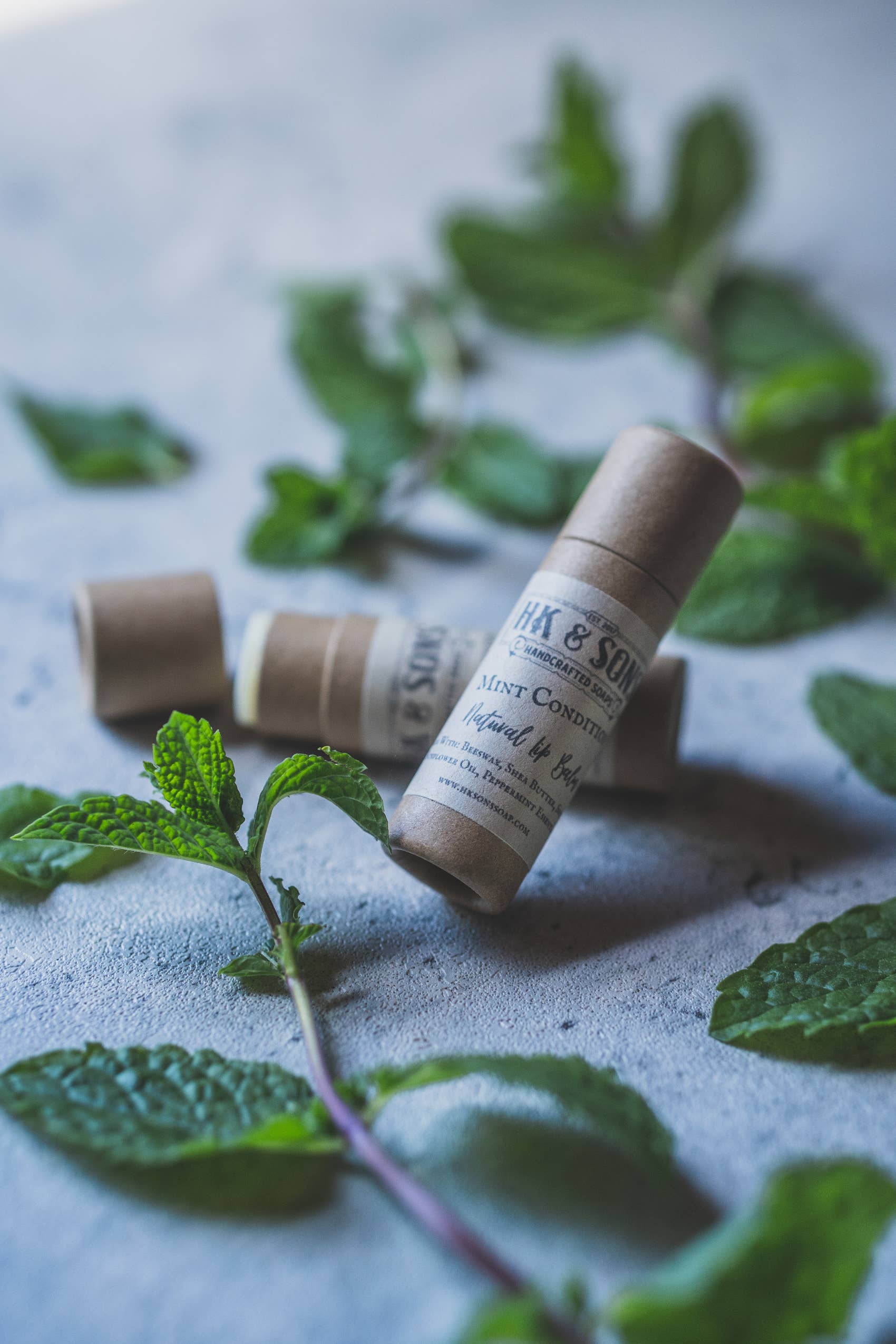 HK and Sons - Wholesale Lip Balm - Natural Lip Balm Eco-Friendly Biodegradable Paperboard Tube5