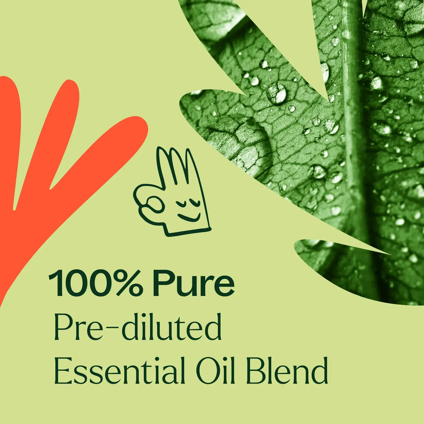 Plant Therapy - Wholesale Essential Oil Roll-On - Zit Fighter Synergy Prediluted Essential Oil Roll-on10