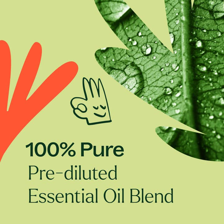 Plant Therapy - Wholesale Essential Oil Roll-On - Zit Fighter Synergy Prediluted Essential Oil Roll-on10