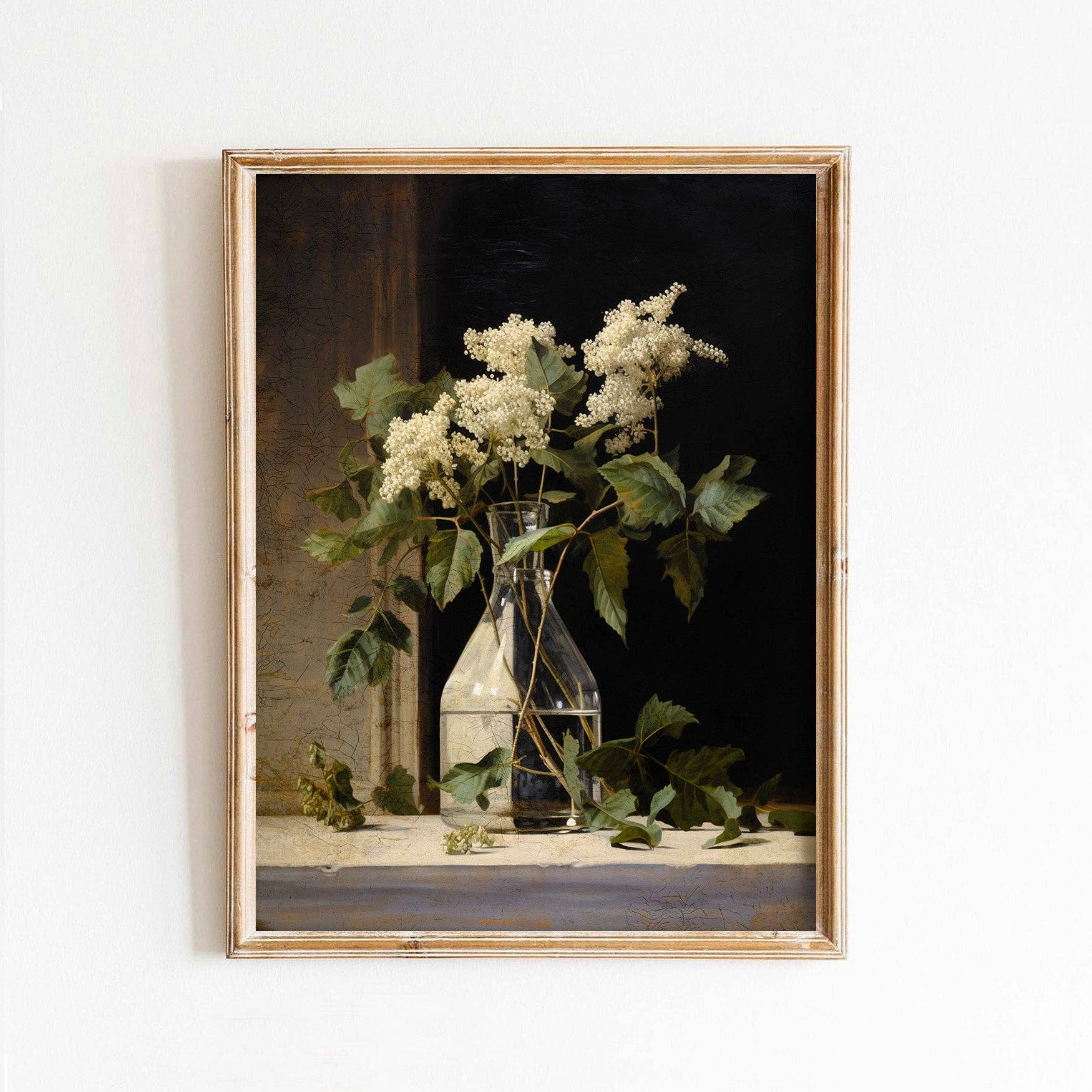 Paper House Print Shop - Venta al por mayor Ilustración - Impresión artística de flores delicadas de Ozothamnus en jarrón0