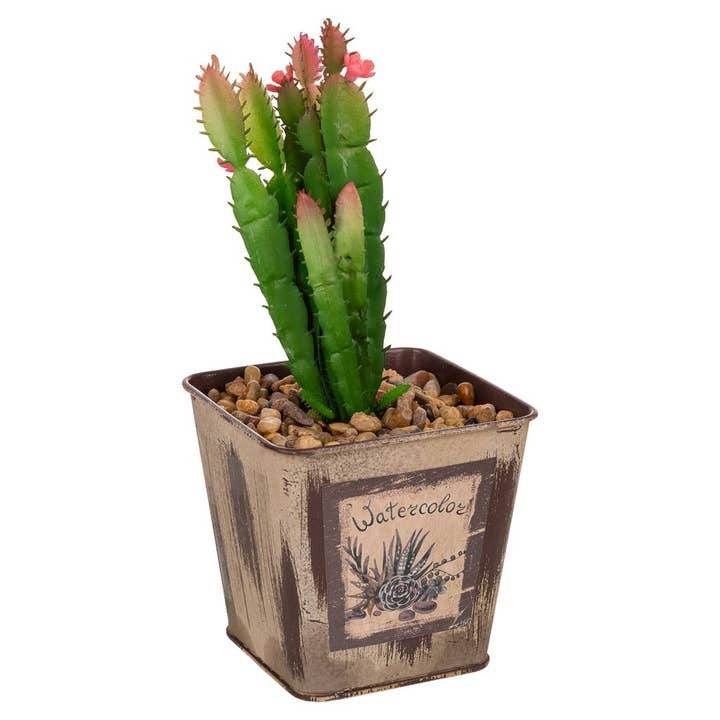 kunstmatige cactus pot voor wholesale door Creaciones Meng