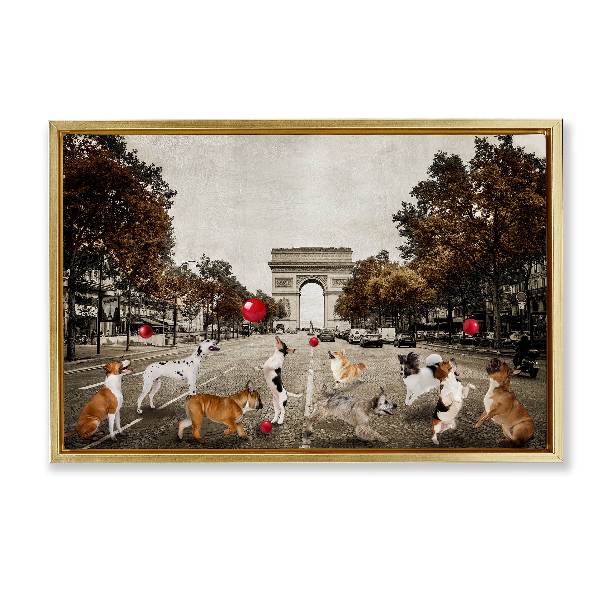 Stupell Industries - Wholesale Wall Sign - Dogs Playing Among Architecture - Framed Wall Art24