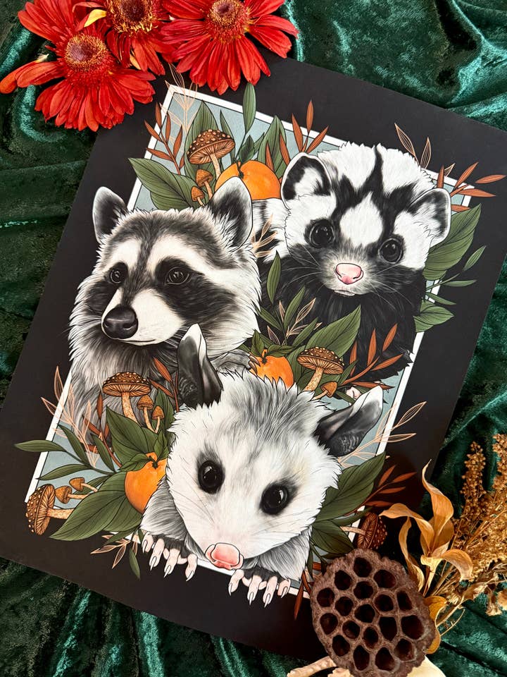 Incompris - Impression artistique de raton laveur, opossum, mouffette pour la vente par Strat Lacy Art