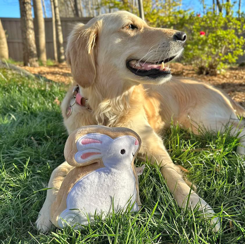 Midlee Designs - Wholesale Speeltje - Hond - Midlee Sugar Cookie Paashaas Hondenspeelgoed7