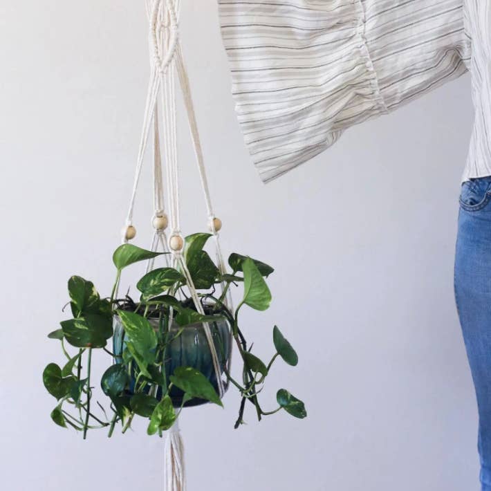 Gemini Rain - Wholesale Hanging Planter - Macrame Plant Hanger2