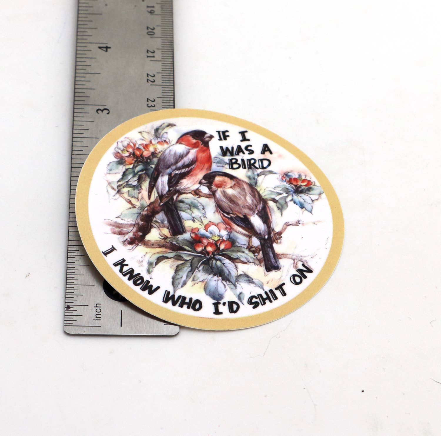 Lenny Mud - Wholesale Sticker - If I Was a Bird sticker, 3 x 3 sticker2