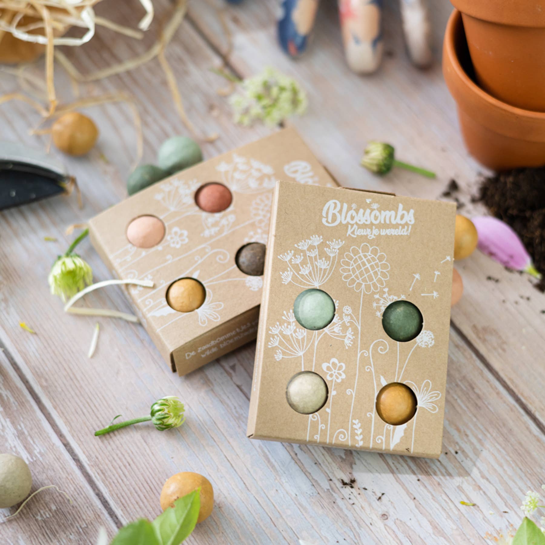 Buzzy Seeds Grow Gifts - Wholesale Plant Seeds - Mini Wildflower Seed Box – 4 Seed Bomb Gift Set1