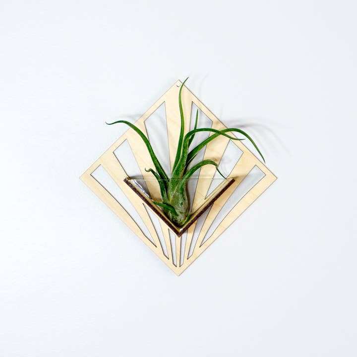 LIGHT RAZOR DESIGN STUDIO - Wholesale Wall planter - Air Plant Holder / Quadrate Wall Hanging Planter 292