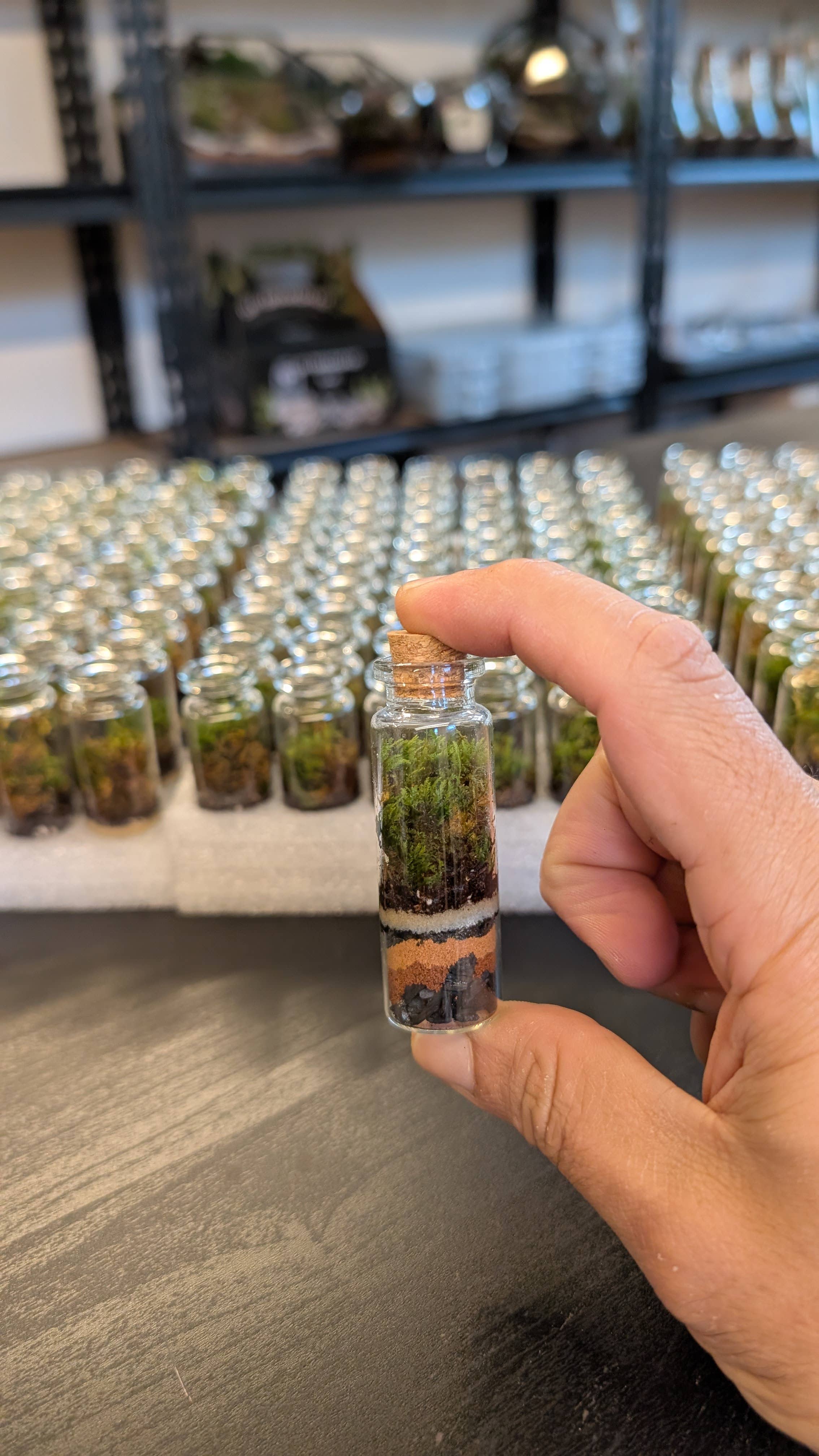 TERRART NYC - Wholesale Terrarium - Pocket Terrarium / Self Sustaining Miniature Ecosystem6