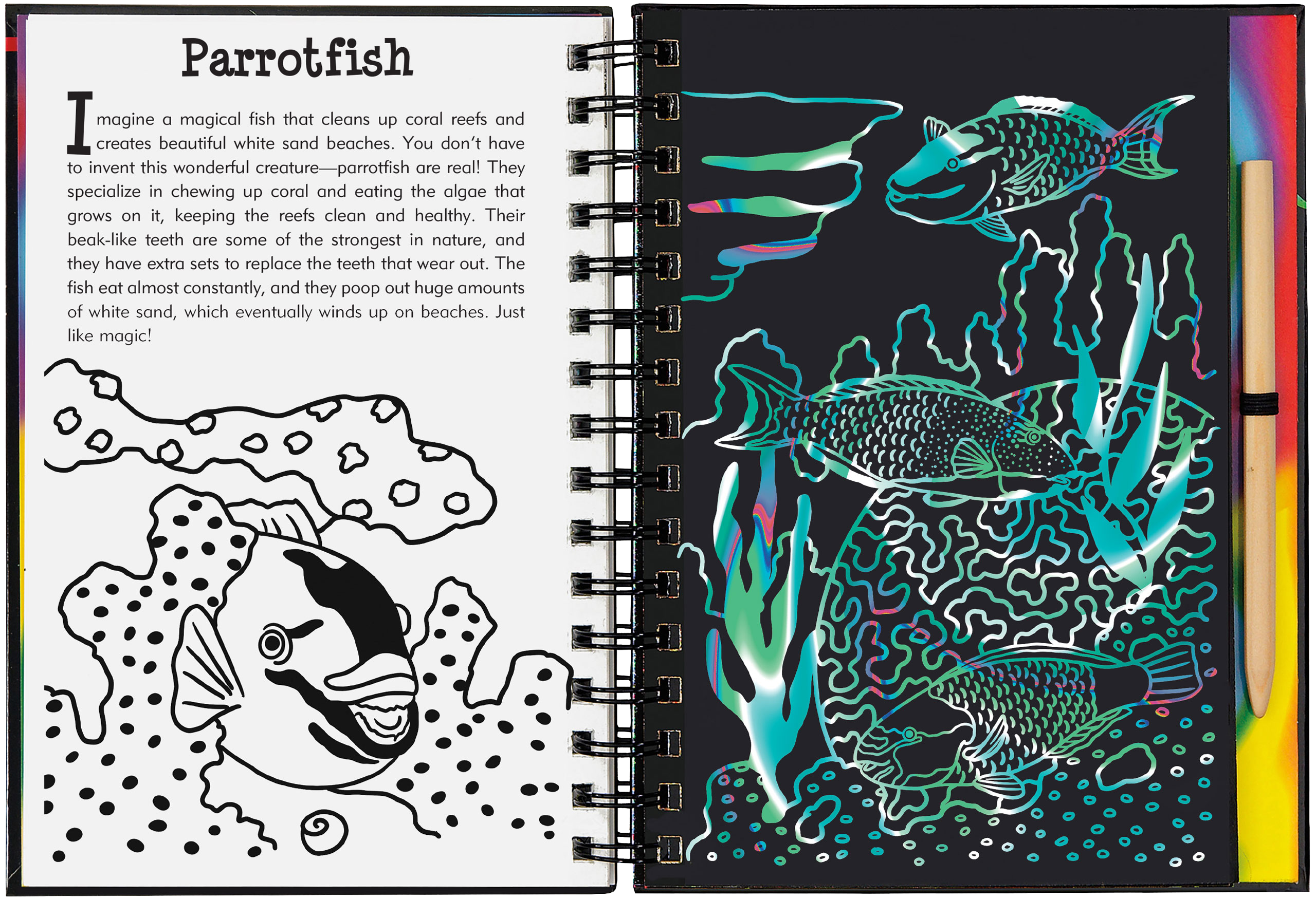 Peter Pauper Press - Wholesale Sketchbook/Sketchpad - Coral Reefs Scratch and Sketch2