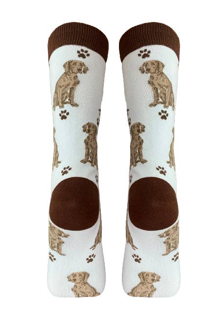 E&S Pets - Wholesale Socks - Unisex - Weimaraner Socks - Fun Novelty Dog Socks - Unisex3
