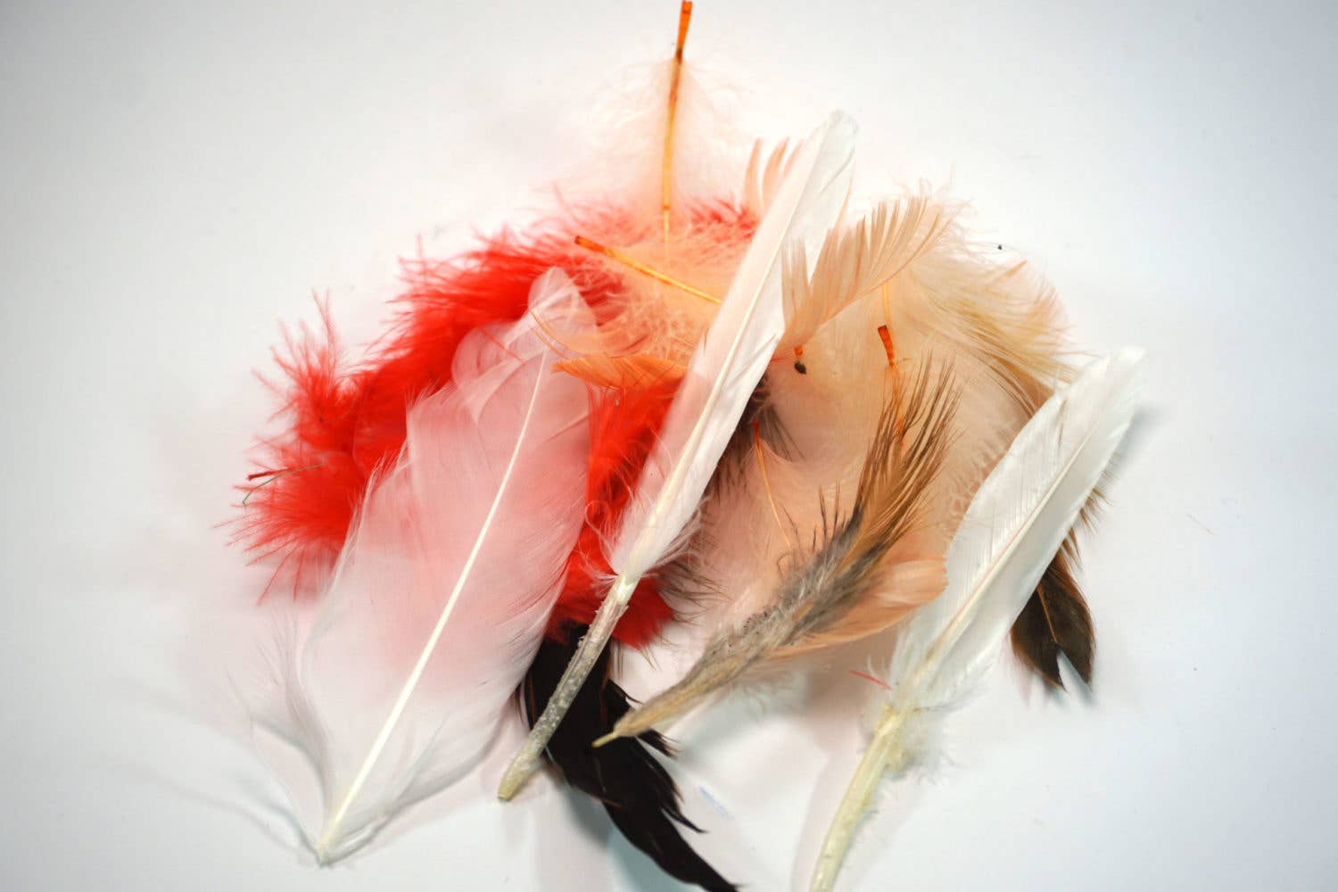 Die Kerzenwerkstatt - Wholesale DIY Craft Kit - Craft kit: dream catcher | decoration | DIY | gift | wall decoration1