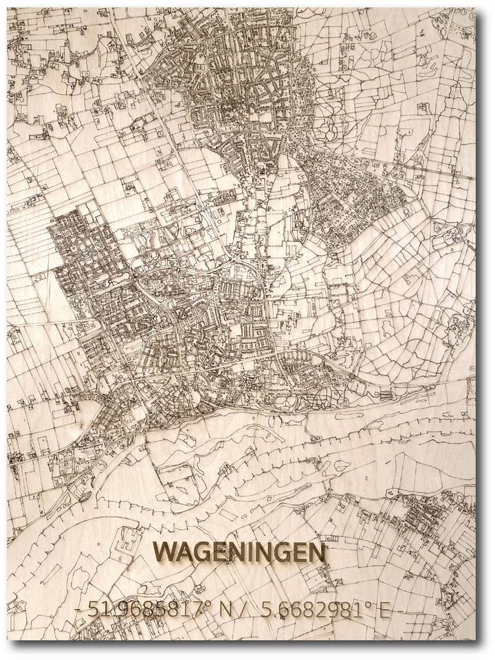 HOUTEN WANDDECORATIE WAGENINGEN STADKAART voor wholesale door Brandthout.