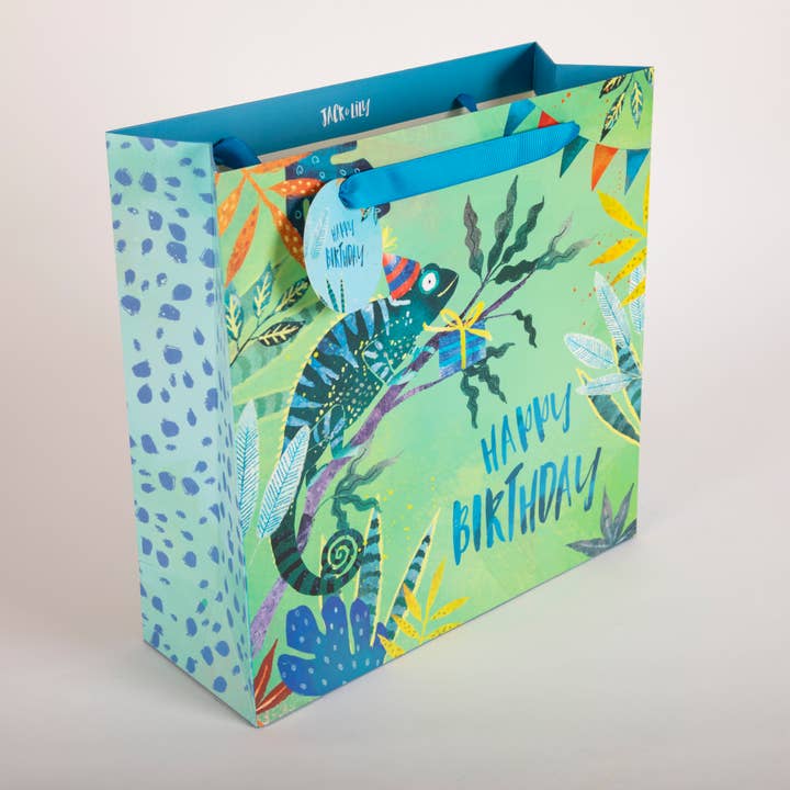 Jack And Lily Chameleon Large Gift Bag, Children’s for wholesale by Penny Kennedy Ltd