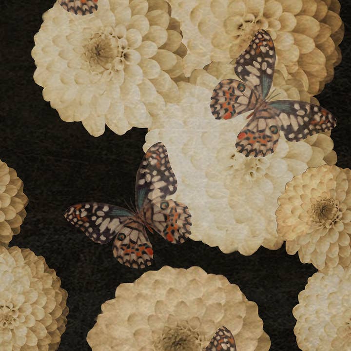 Daria Petrilli - Wholesale Wallpaper - WHITE DAHLIA AND BUTTERFLY BLACK SKY - WALLPAPER1