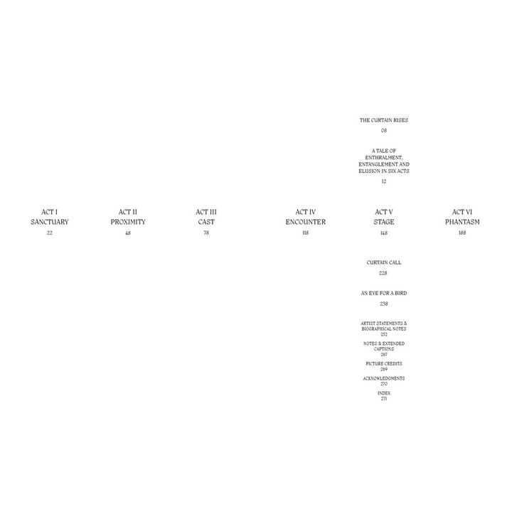 W. W. Norton - Wholesale Display Book - Aviary: The Bird in Contemporary Photography1