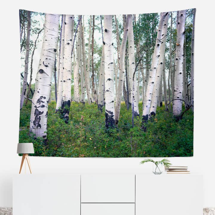 Tapiz de Pared de Bosque de Áspen en Montaña Escénica - Arte de Naturaleza Tranquila para Interiores Boho para venta al por mayor de lostkatphoto