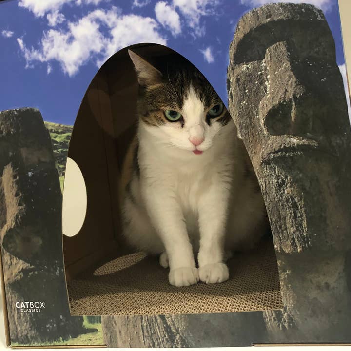 Cat Box Classics - Vendita all'ingrosso Tiragraffi - Gatti - Cuccia in cartone con tiragraffi Whiskers of the World