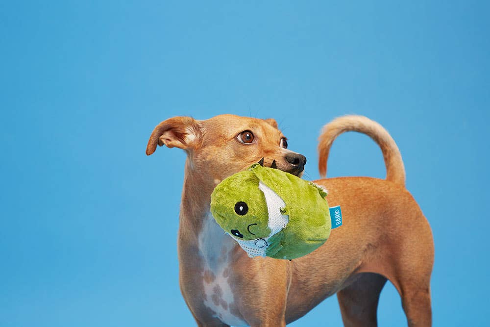 Pet Palette Distribution - Wholesale Pet Plush Toy - Dog - BARK Consuela the Cactus2