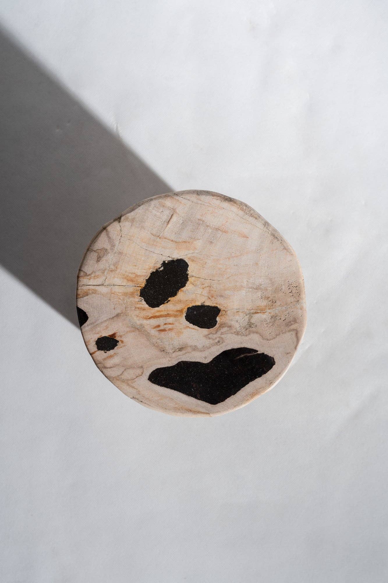 Office Objets - Wholesale Side Table - White petrified wood side table with black spots H:27.5 D:1877