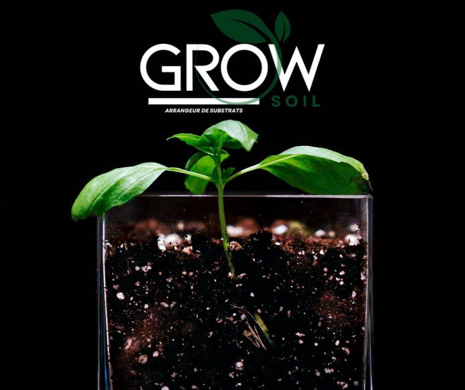 Grow-Win - Wholesale Planting/Potting Soil - Soil for microgreens and herb seedlings 4L1