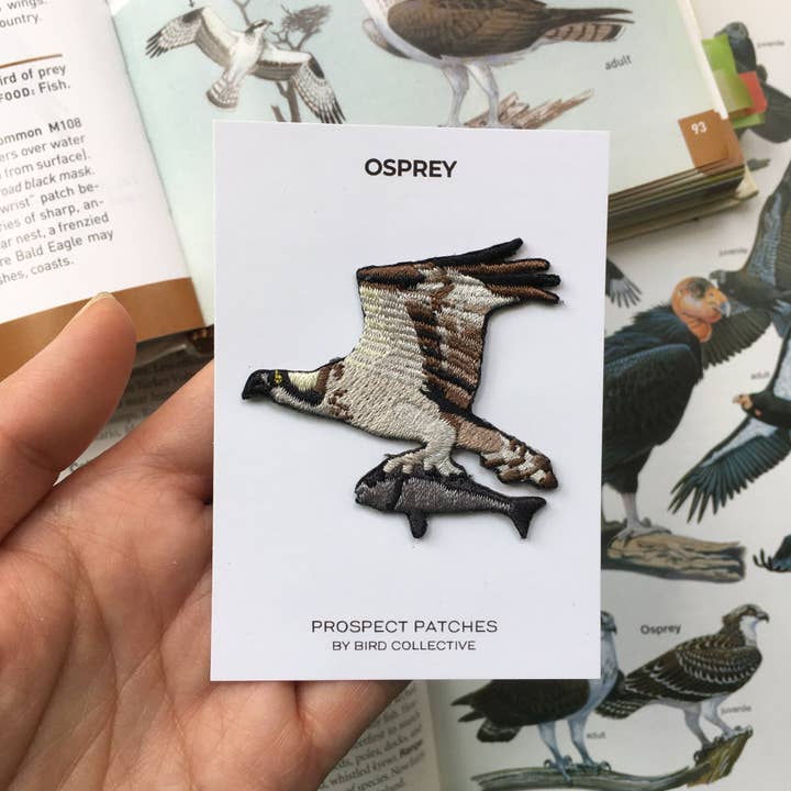 Bird Collective - Wholesale Patch - Osprey Patch2
