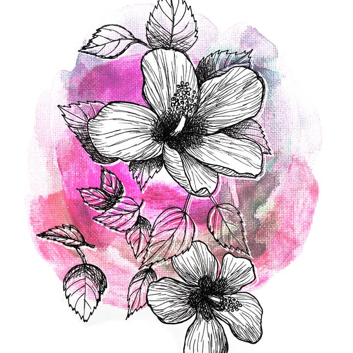 Jeanelle Demers - Vendita all'ingrosso Stampa artistica - Stampa d'Arte di Ibisco 20x25 cm1