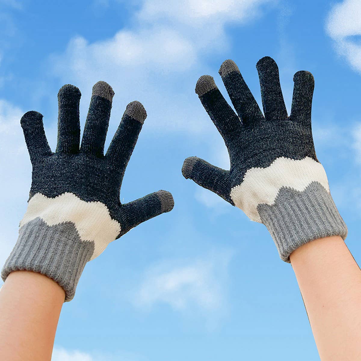 NINEXIS - Wholesale Gloves - Women's - CWAG00543_WOMEN WINTER WARM TOUCHSCREEN GLOVES9