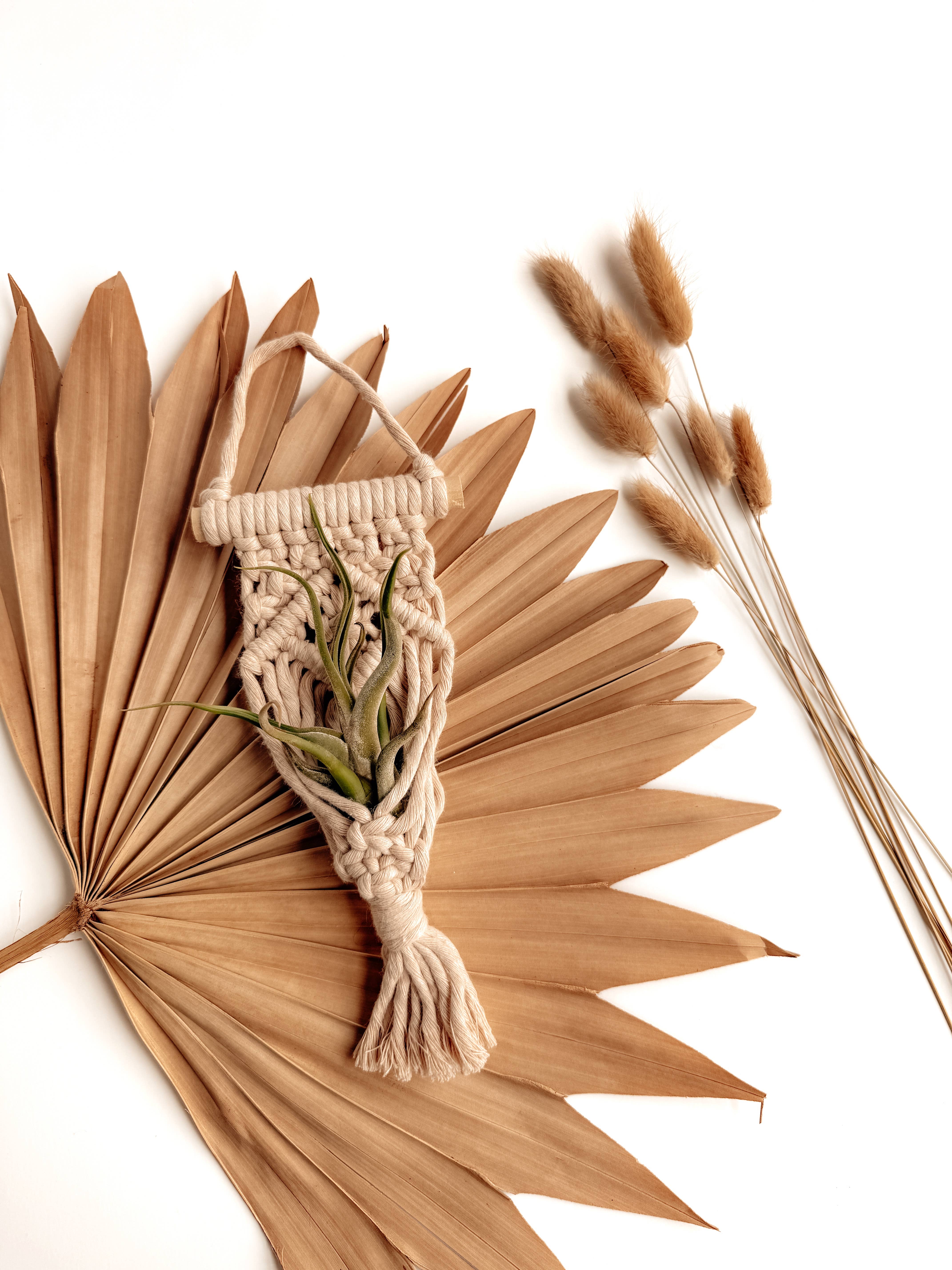 Meraki The Studio Co. - Wholesale Hanging Planter - Air Plant Hanger | Macrame Planter Holder | Boho Home Decor1