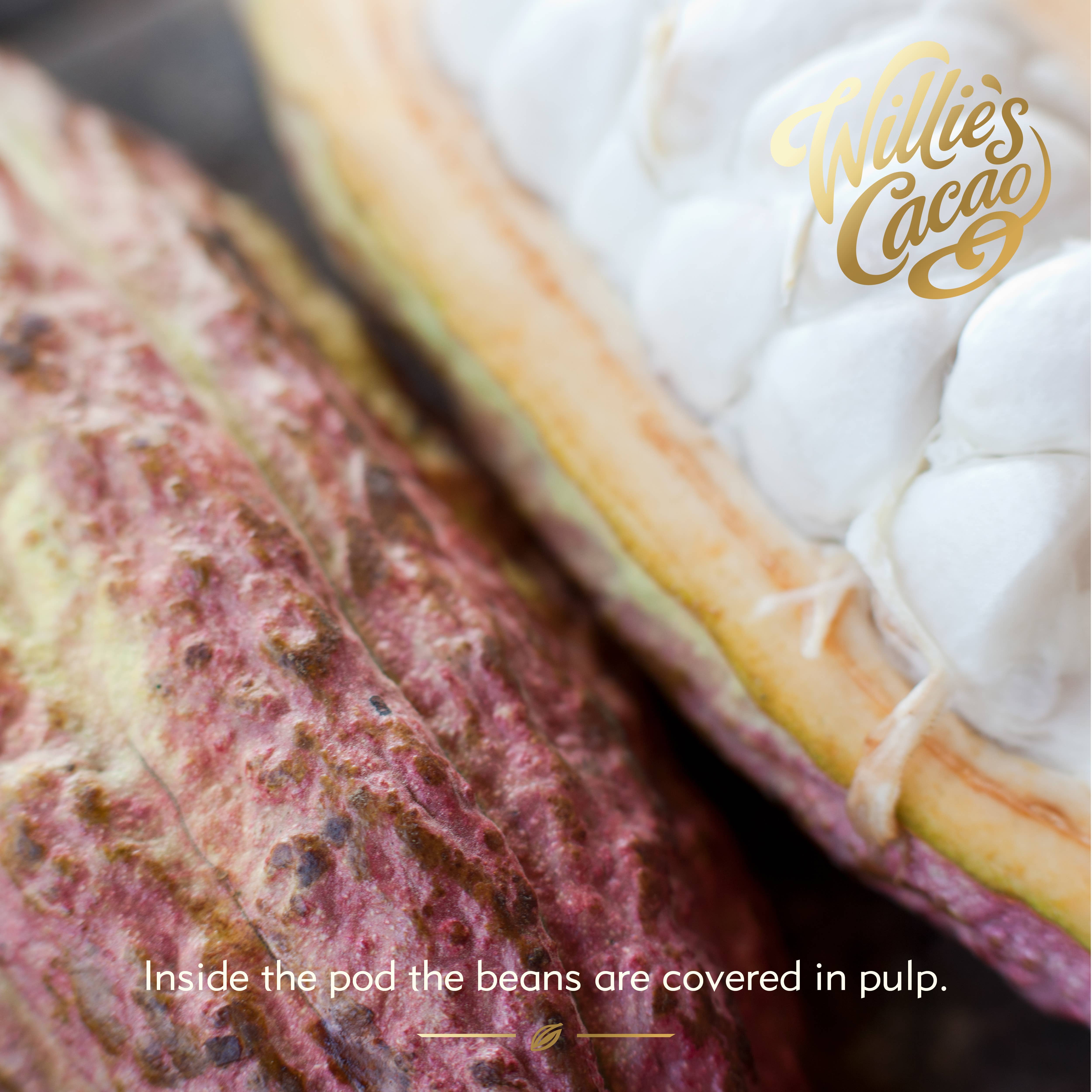 Willie's Cacao - Wholesale Hot Cocoa Mix/Kit - Hot Chocolate. Rich, dark & smooth. 52% cocoa. Vegan. 250g4