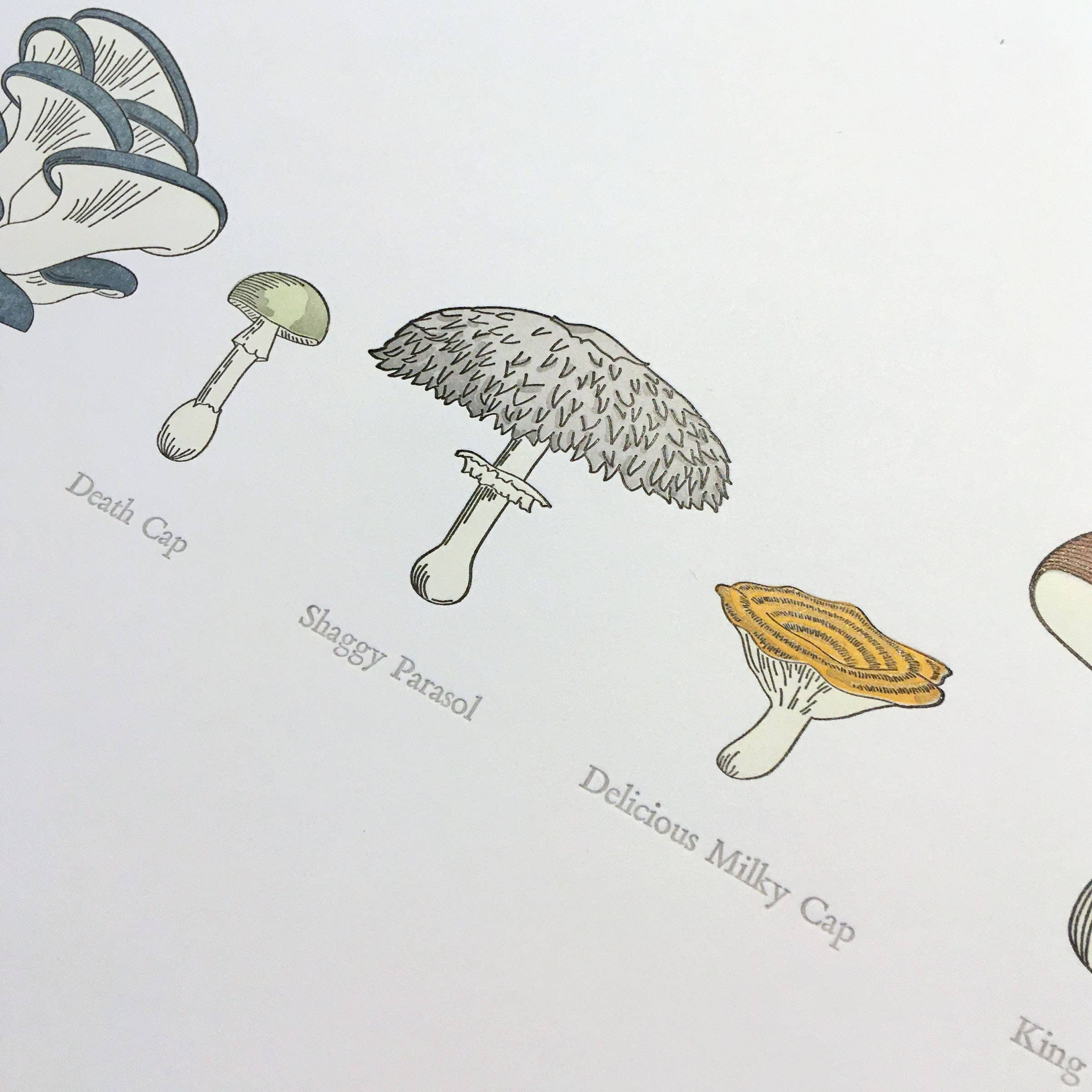 Green Bird Press – wholesale Art print – A Few Mushrooms Letterpress Print - 12" x 18"2