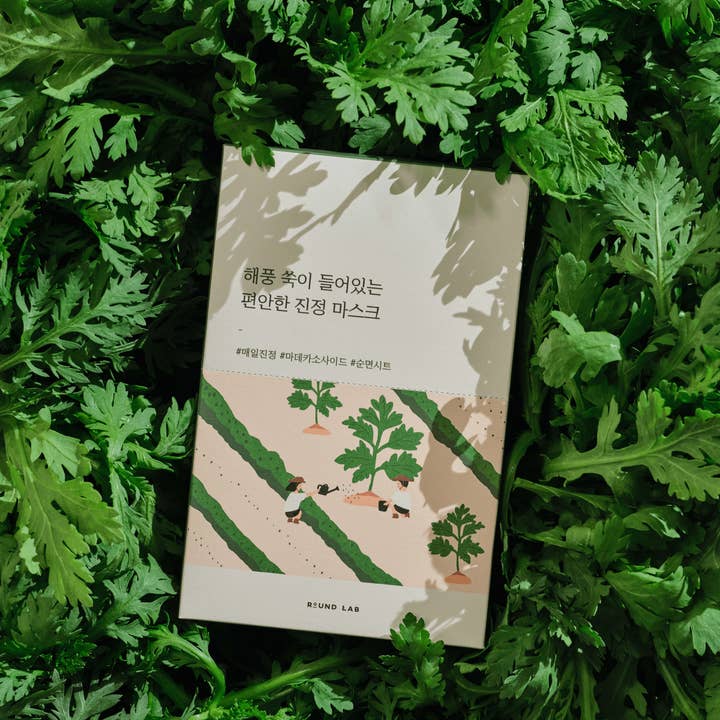 Round Lab - Wholesale Skincare Face Mask - Mugwort Calming Sheet Mask3