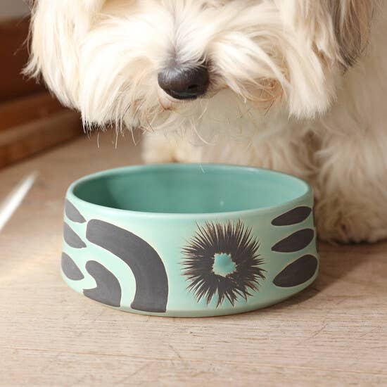 cheap dog bowls in bulk