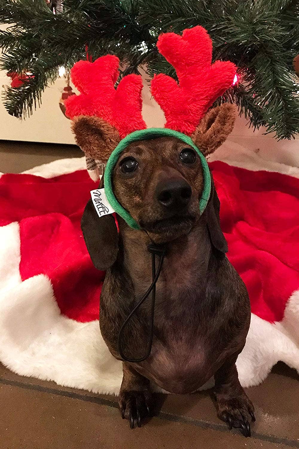 Midlee Designs - Wholesale Pet Costume - Dog - Midlee Christmas Reindeer Small Dog Antlers3