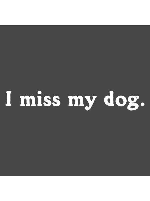 Feelin Good Tees - Wholesale Screen Printed T-Shirt - Unisex - I Miss My Dog20