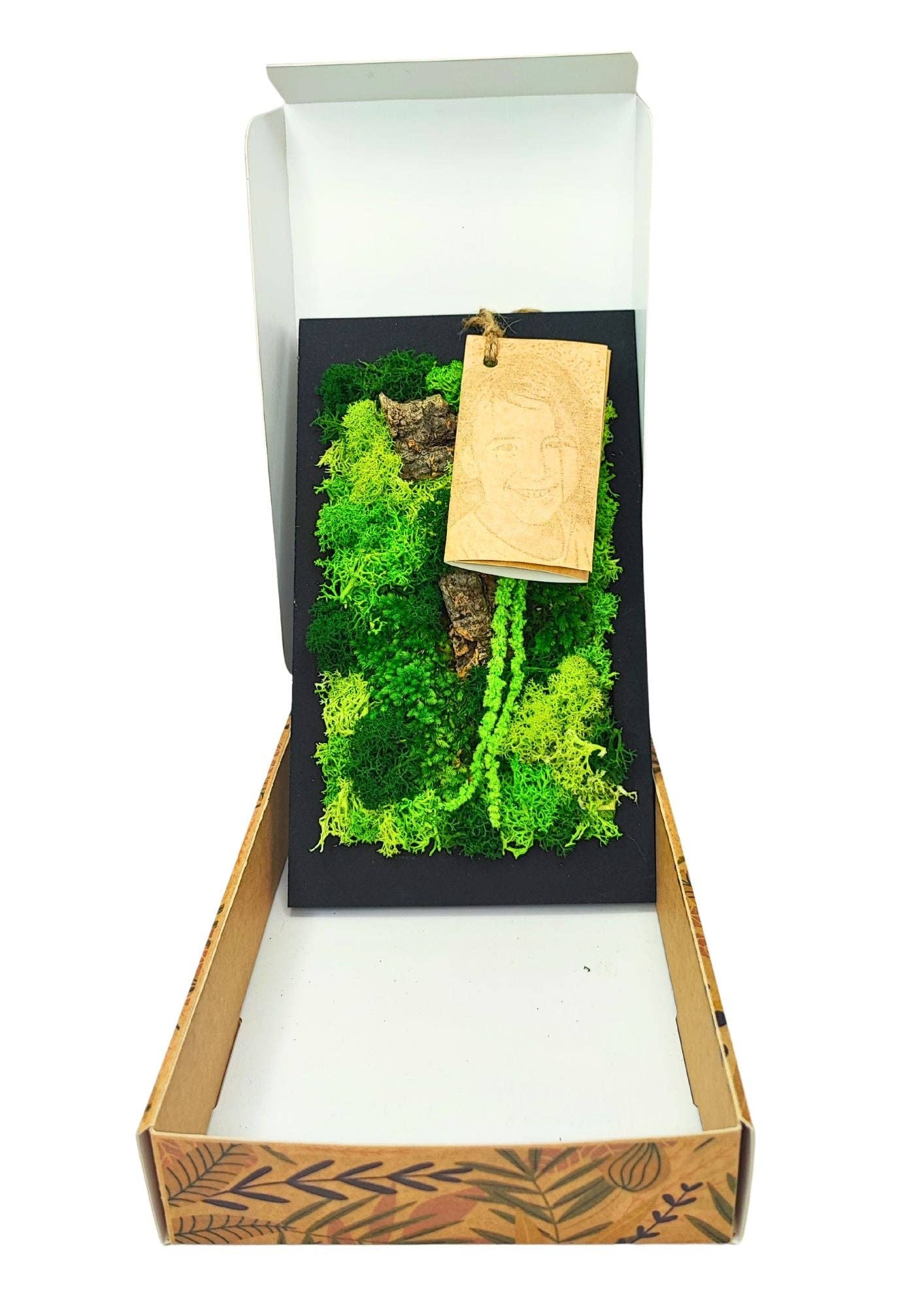 REMOVED BRAND - Wholesale Wall Accent - Rectangular Frame of Stabilized Moss and Lichens "Medusa's Moss" size 14.5x24.54