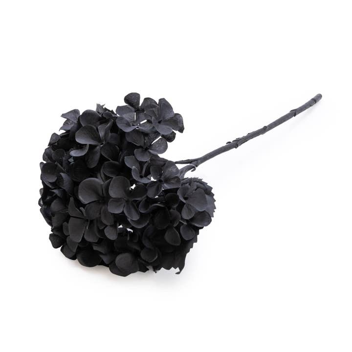 Artificial Single Hydrangea Black Faux Stem 46cm 10PK for wholesale by Candlelight Products Ltd
