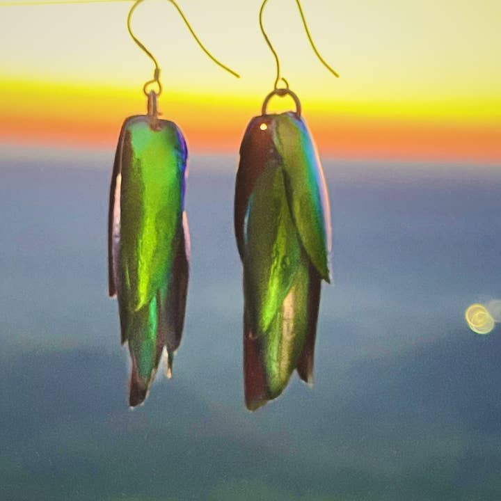 Orecchini Jewel Wing per la vendita all'ingrosso da parte di Peace Love Bling