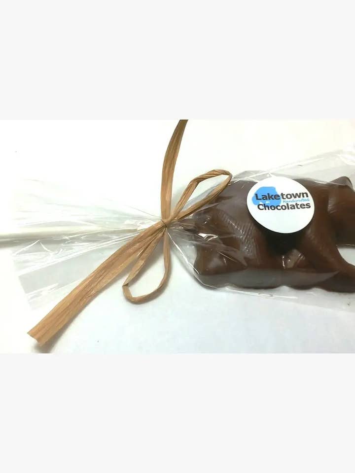 Chocolate Bear Lollipop - Cello Bag with Ribbon for wholesale by Laketown Chocolates