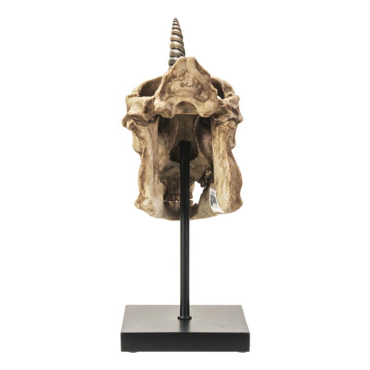Pacific Trading - Wholesale Decorative Figurine - Unicorn Skull on Stand5
