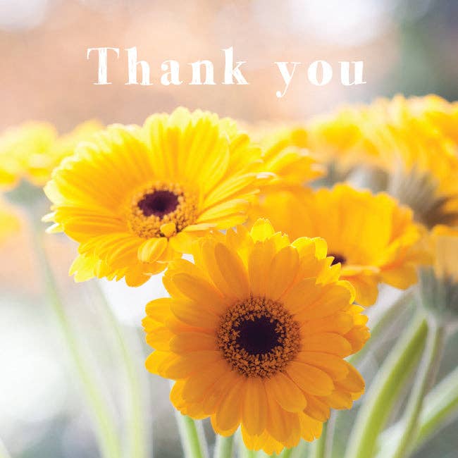 Photonotes Notecards - Yellow Gerbera (pack of 5) for wholesale by Leonard Smith