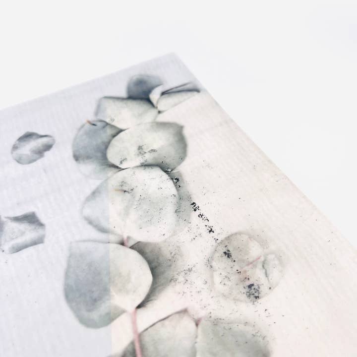 HELLO ARTIST DIY - Wholesale Craft Supplies - Transparent Papers – Botanical Series10