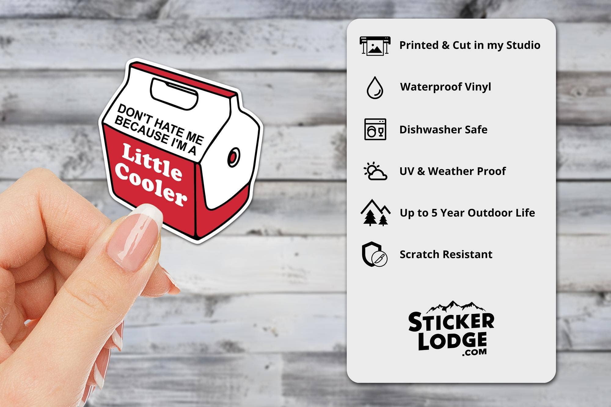 Sticker Lodge - Wholesale Phone & Laptop Stickers - Don't Hate Me Because I'm A Little Cooler Vinyl Sticker1