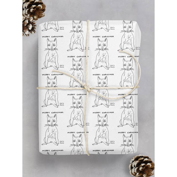 David Shrigley x Brainbox Candy - Wholesale Flat Wrap - David Shrigley Gift Wrap Cat's Penis Pack of 2 Sheets Folded