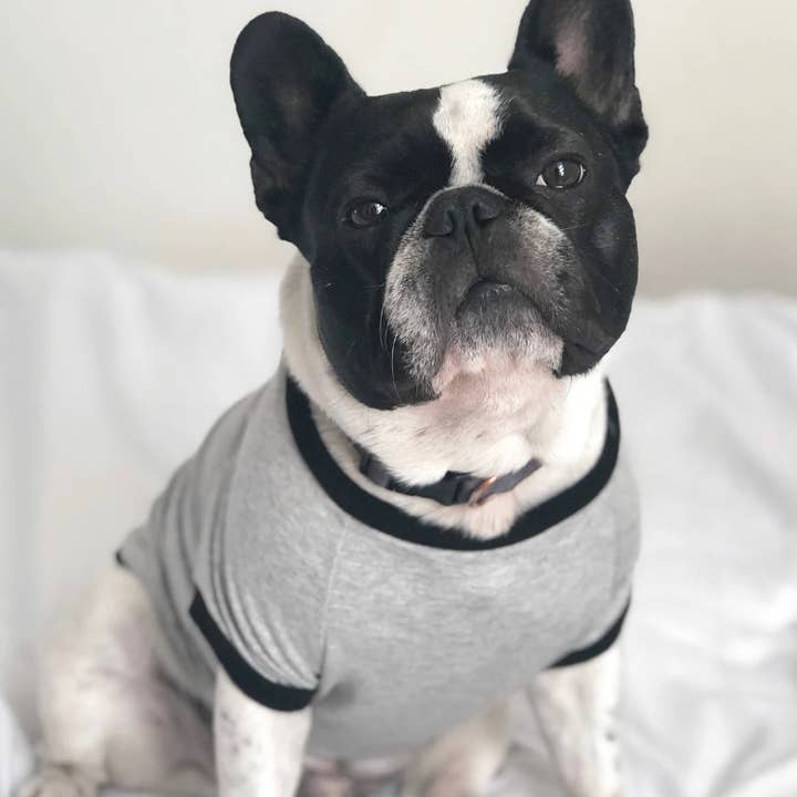 Homerun Pup Shirt - Grey for wholesale by BOSSPUP