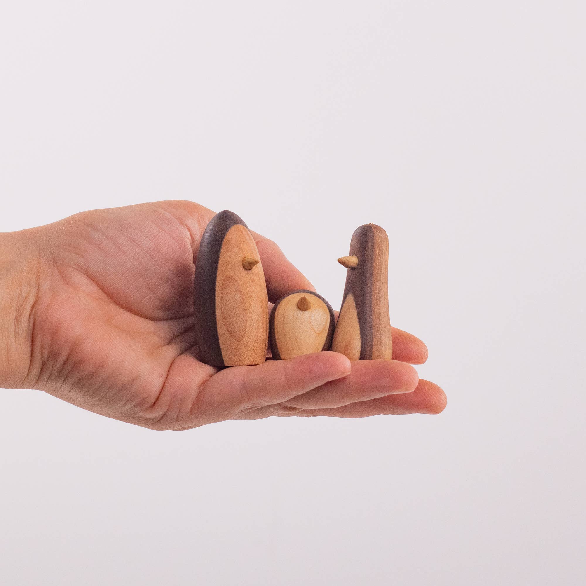 Collin Garrity – Engroshandel Bordpynt – Pingvin - 1"1