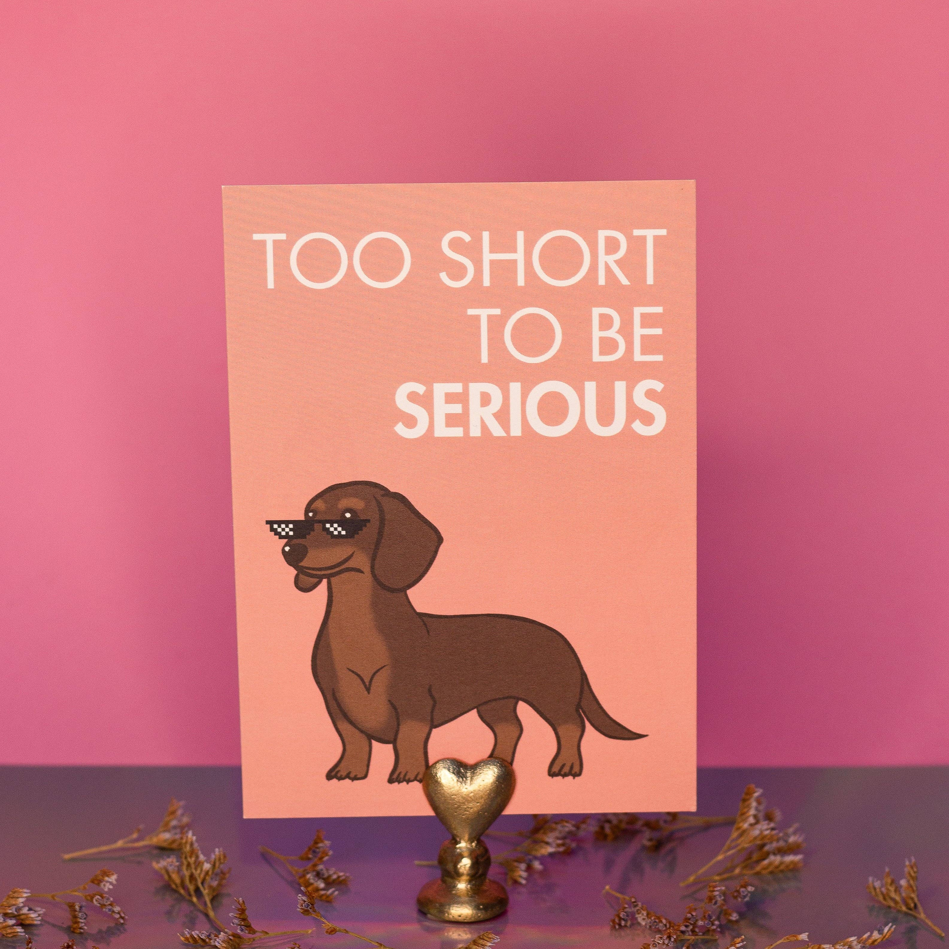 LOLLYPOPARTSTUDIO - Wholesale Everyday Greeting Card - Carte Teckel « Too short to be serious »1